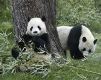 /album/fotogaleria/images-3-jpg/